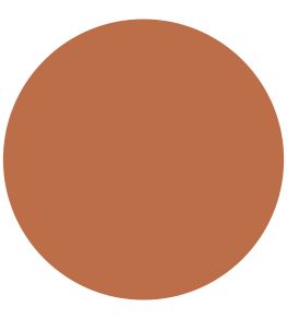 Russet 1829 Chalky Emulsion Paint by Craig & Rose Russet