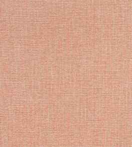 Sacchi Fabric by Thibaut Terracotta