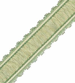 Tiverton Pleated Border Trimming by Samuel & Sons Fern