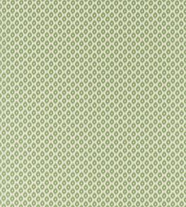 Meru Fabric by Sanderson Nettle