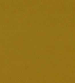Dorton Fabric by Sanderson Olive