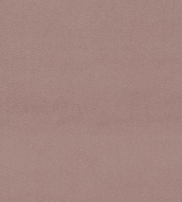 Dorton Fabric by Sanderson Blush