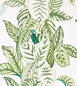 Calathea Wallpaper by Sanderson Botanical Green