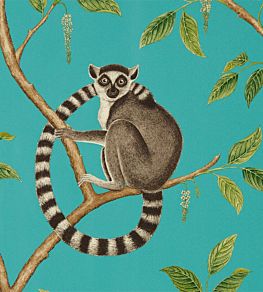 Ringtailed Lemur Wallpaper by Sanderson Teal