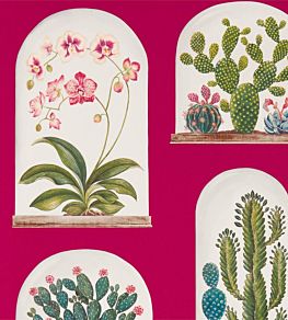 Terrariums Wallpaper by Sanderson Rhodera/Multi