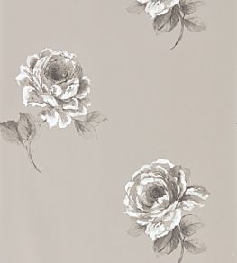 Rosa Wallpaper by Sanderson Silver