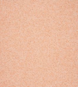 Sasso Fabric by Thibaut Clay