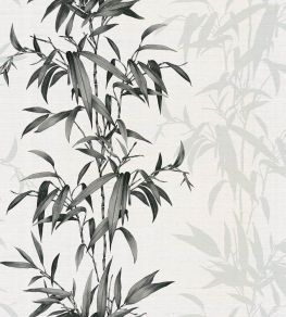 Savage Gardens Wallpaper by Today Interiors Charcoal