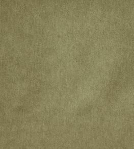 Savona Fabric by Kai Aloe