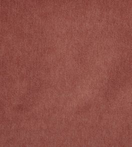 Savona Fabric by Kai Blush