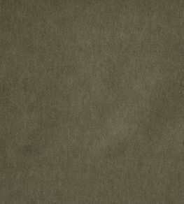 Savona Fabric by Kai Pine