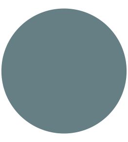 Saxe Blue 1829 Gloss Paint by Craig & Rose Saxe Blue