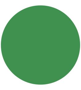 Schinkel Green Wall Paint by Annie Sloan Schinkel Green
