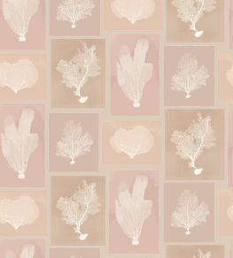 Sea Fans Wallpaper by DADO 02 Blush