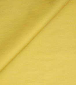Seda Fabric by Jim Thompson Coin