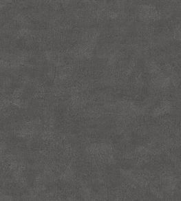 Shades Wallpaper by Borastapeter Anthracite