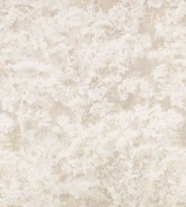 Sikora Sheer Fabric by Romo Stone