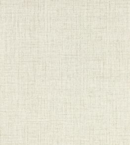 Sirpo Wallpaper by Clarke & Clarke Ash