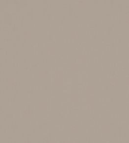 Solaire Fabric by Warwick Coconut