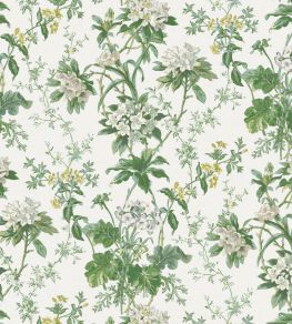 Somerhill Fabric by Nina Campbell Green/White/Chartreuse