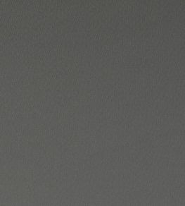 Spectrum Fabric by Clarke & Clarke Charcoal