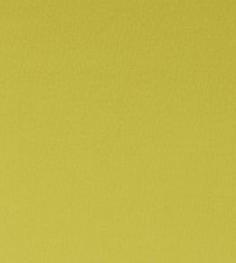 Spectrum Fabric by Clarke & Clarke Chartreuse