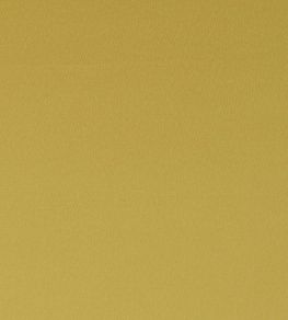 Spectrum Fabric by Clarke & Clarke Dijon