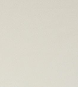Spectrum Fabric by Clarke & Clarke Ivory