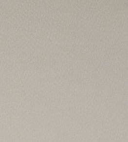 Spectrum Fabric by Clarke & Clarke Mushroom