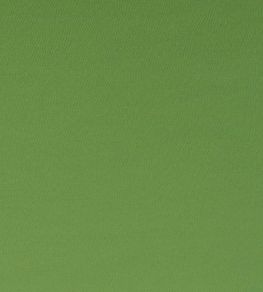 Spectrum Fabric by Clarke & Clarke Oregano
