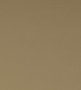 Spectrum Fabric by Clarke & Clarke Pecan