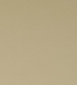 Spectrum Fabric by Clarke & Clarke Sahara