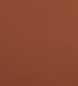 Spectrum Fabric by Clarke & Clarke Spice