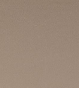 Spectrum Fabric by Clarke & Clarke Truffle