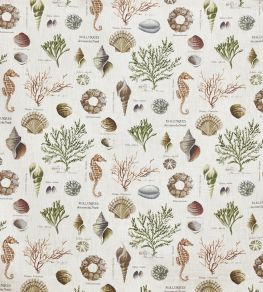 St Helier Fabric by Prestigious Textiles Seaweed