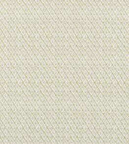 St John Street Trellis Fabric by Designers Guild Willow