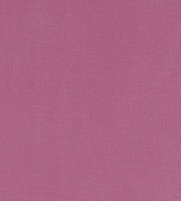 Alora Fabric by Studio G Sorbet