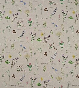Nerium Fabric by Studio G Linen