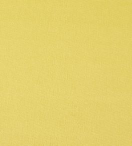 Style Fabric by Prestigious Textiles Citrus