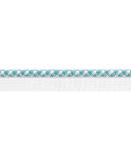 Surrey Cord Trimming by Thibaut Capri