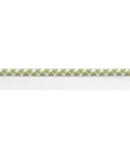Surrey Cord Trimming by Thibaut Spring Green