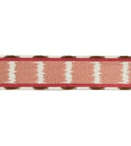 Taos Embroidered Border Trimming by Samuel & Sons Cactus Bloom