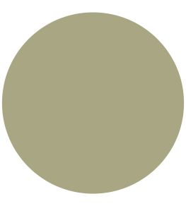 Tapestry Green 1829 Chalky Emulsion Paint by Craig & Rose Tapestry Green