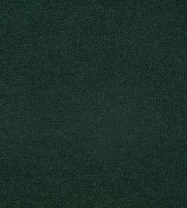 Teddy FR Fabric by Kirkby Design Pine Green