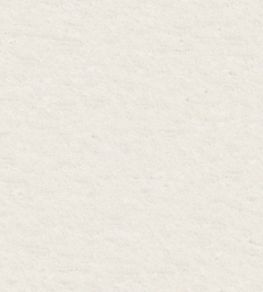 Teddy Fabric by Wemyss Ice