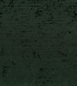 Tembe Fabric by Osborne & Little Fir