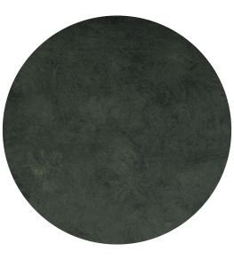 Terre Vert Artisan Special Effects Paint by Craig & Rose Terre Vert