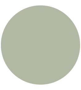 Terre Verte Wall Paint by Annie Sloan Terre Verte