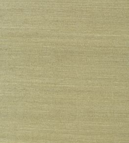 Shang Extra Fine Sisal Wallpaper by Thibaut Moss