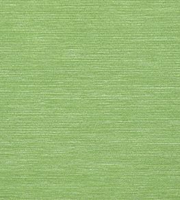 Surfrider Wallpaper by Thibaut Emerald Green